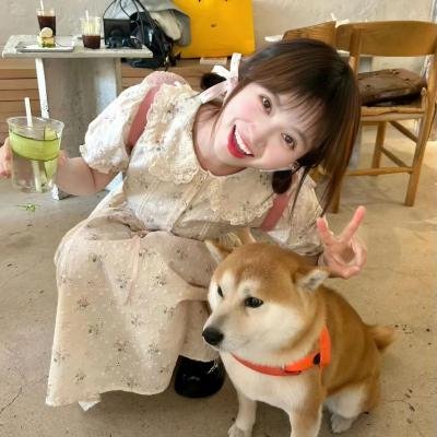 春满花都 推荐